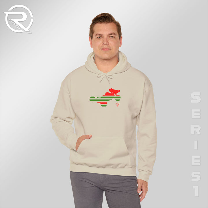 OnlyRCs - Holiday RC Buggy Gildan Hoodie